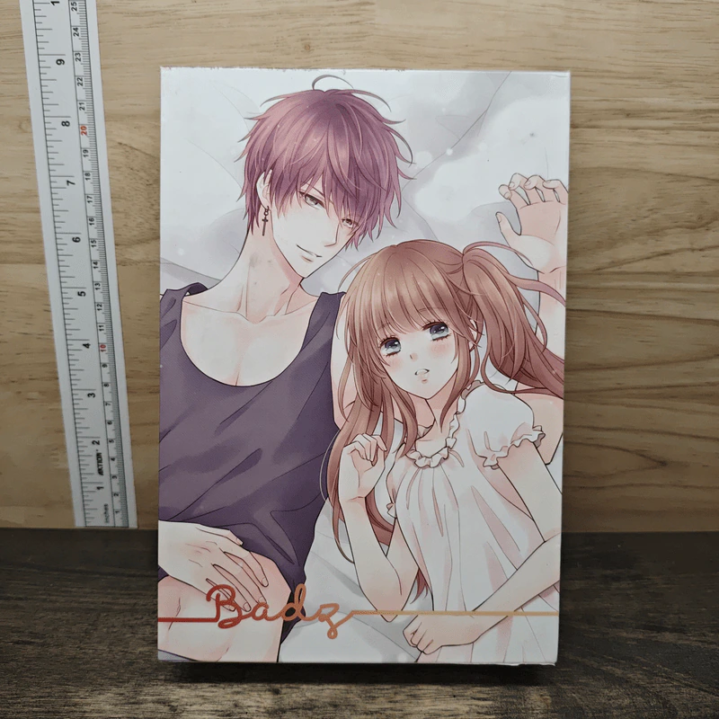 Boxset Boy For Rent ( Badz + Sexy ) - เจ้าหญิงผู้เลอโฉม รูปที่ 1