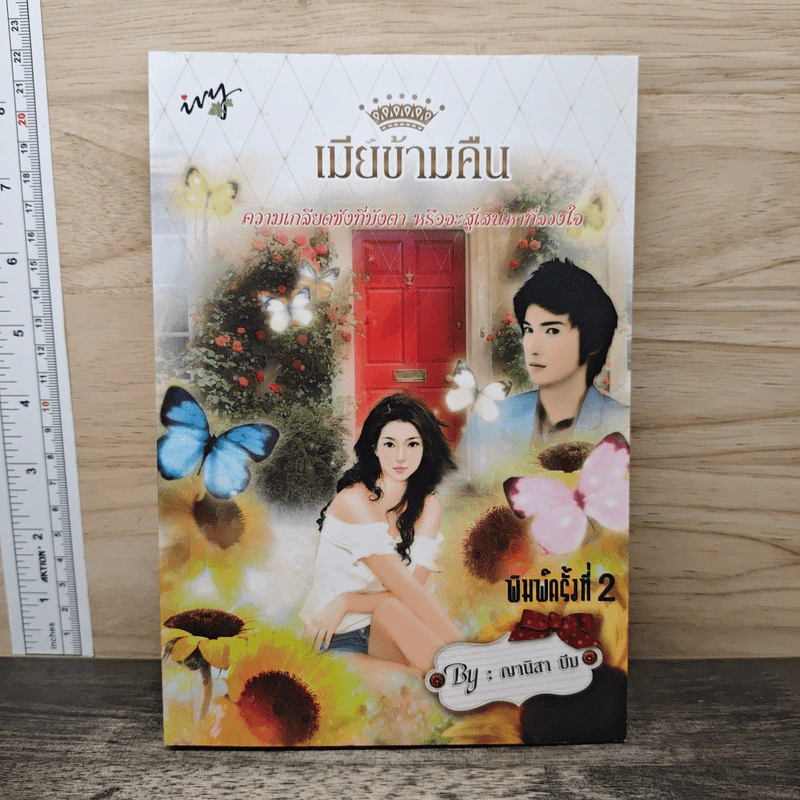 เมียข้ามคืน - ญานิสา บีม รูปที่ 1