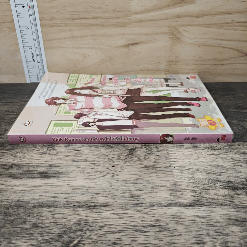 Pink Romeo วายร้ายหน้าใสหัวใจสีชมพู - ลูกชุบ รูปที่ 2