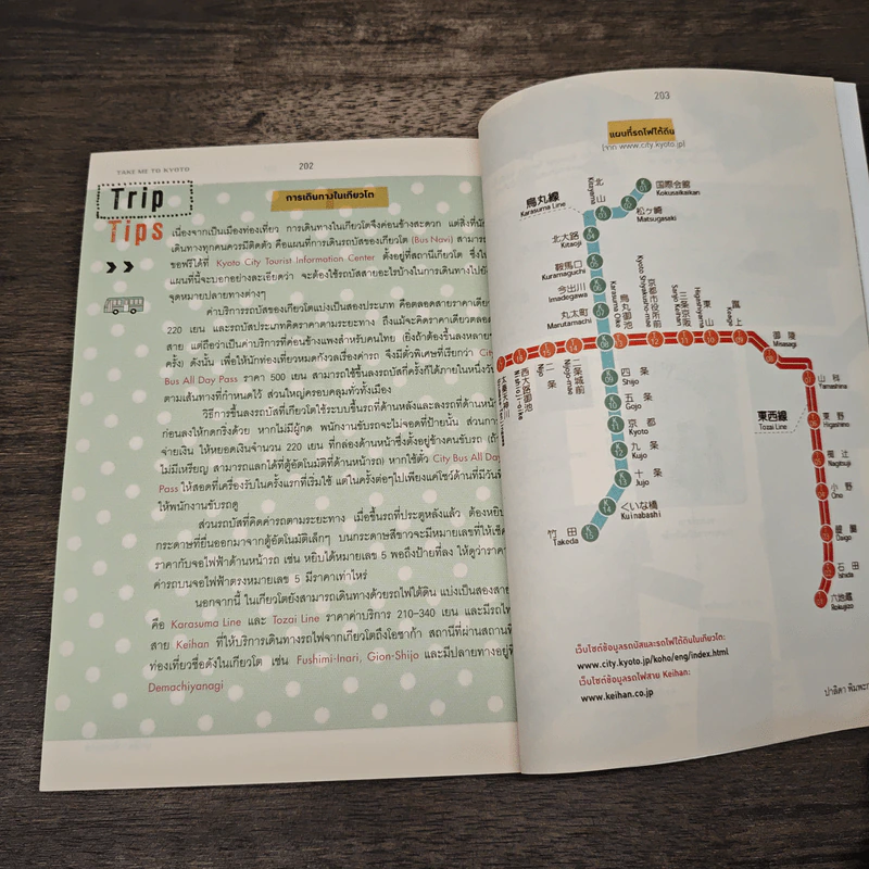 Take Me to Kyoto พาฉันเที่ยวเกียวโต - ปาลิดา พิมพะกร รูปที่ 8