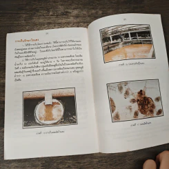 การเพาะเลี้ยงไรแดง รูปที่ 10