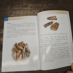 คู่มือเภสัชกรรมแผนไทย เล่ม 4 เครื่องยาธาตุวัตถุ - ชยันต์ พิเชียรสุนทร, วิเชียร จีรวงส์ รูปที่ 9