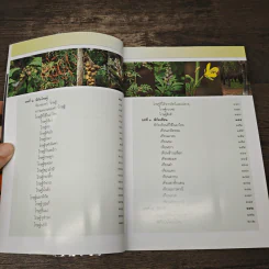 คู่มือเภสัชกรรมแผนไทย เล่ม 5 คณาเภสัช - ชยันต์ พิเชียรสุนทร, วิเชียร จีรวงส์ รูปที่ 6