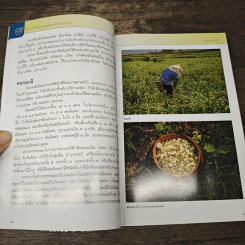 คู่มือเภสัชกรรมแผนไทย เล่ม 5 คณาเภสัช - ชยันต์ พิเชียรสุนทร, วิเชียร จีรวงส์ รูปที่ 8