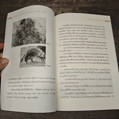 กำจัดไรฝุ่น ทางหายโรคภูมิแพ้ - แพทย์หญิงสิรินันท์ บุญยะลีพรรณ รูปที่ 9