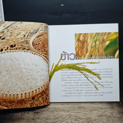 ข้าวกล้อง ข้าวงอก มหัศจรรย์อาหารต้านโรค ชุดอาหารต้านโรค รูปที่ 8