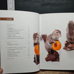 การสตัฟฟ์ สัตว์เลี้ยงลูกด้วยนมขนาดเล็ก รูปที่ 9