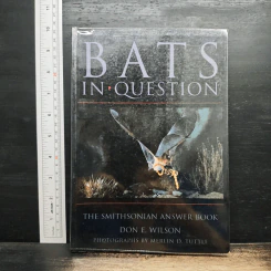 Bats in Question - Don E. Wilson