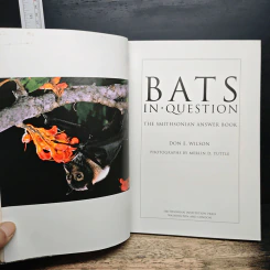 Bats in Question - Don E. Wilson รูปที่ 6