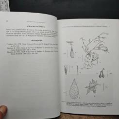 Thai Forest Bulletin (Botany) No. 27 รูปที่ 9