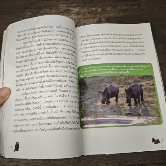 บันทึกการผจญภัยของ Backpacker ไทยใน South Africa - Dr.Gunner รูปที่ 9