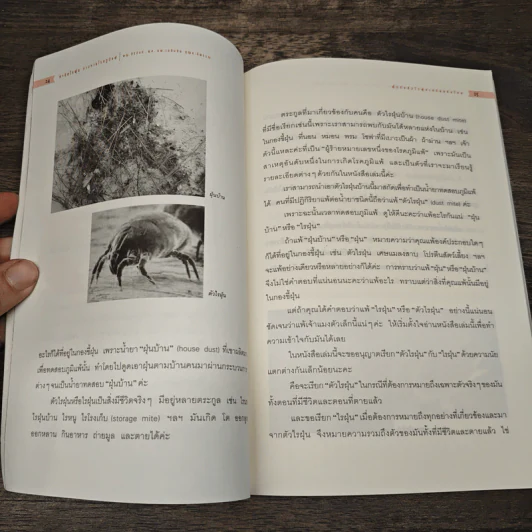 กำจัดไรฝุ่น ทางหายโรคภูมิแพ้ - แพทย์หญิงสิรินันท์ บุญยะลีพรรณ รูปที่ 9