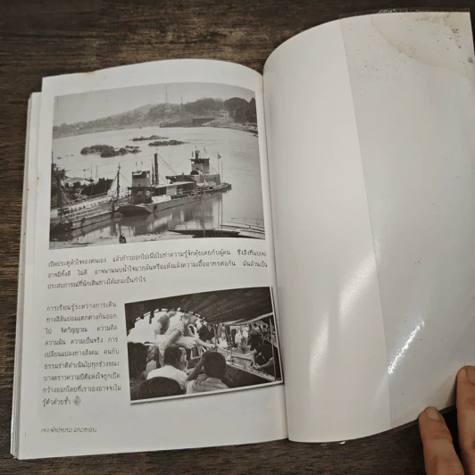จำปาขาว ลาวหอม ลาวเหนือ - รวงทอง จันดา รูปที่ 9