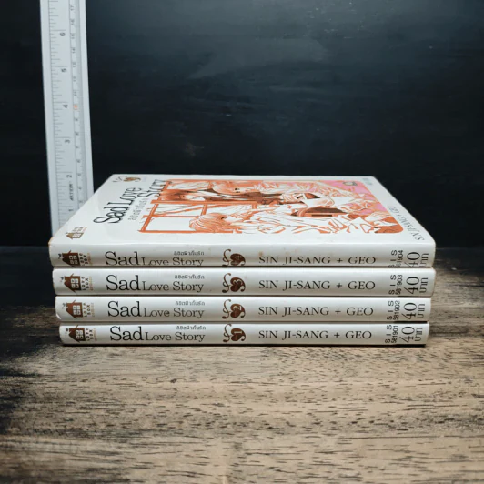 Sad Love Story ลิขิตฟ้ากั้นรัก เล่ม 1-4 รูปที่ 2