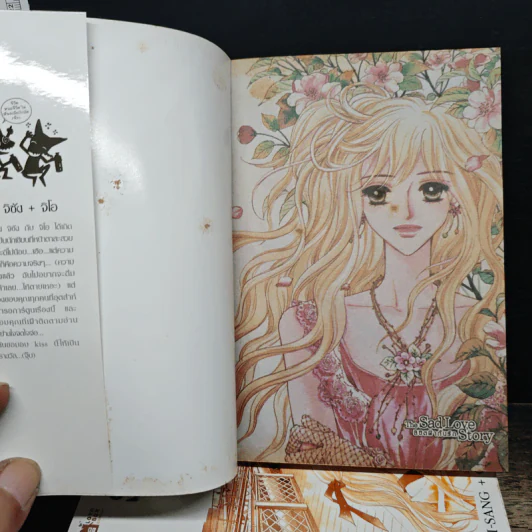 Sad Love Story ลิขิตฟ้ากั้นรัก เล่ม 1-4 รูปที่ 5