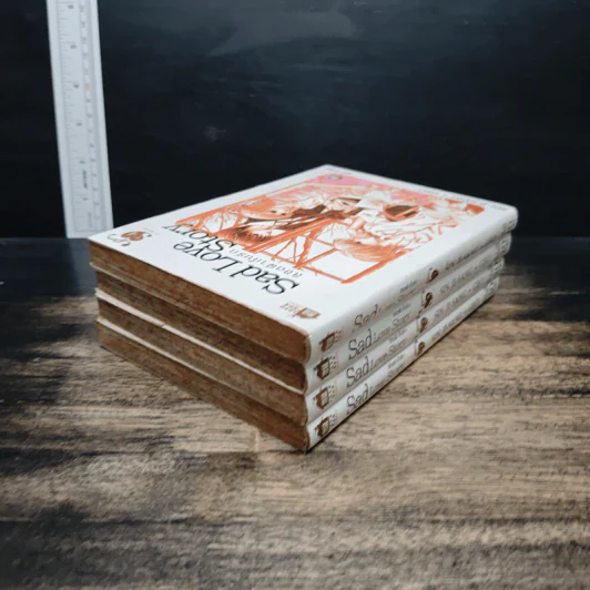 Sad Love Story ลิขิตฟ้ากั้นรัก เล่ม 1-4 รูปที่ 4