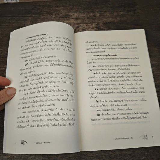 ประโยชน์มหัศจรรย์ : ข่า - อดุลย์ เบญจวรรณากร รูปที่ 8