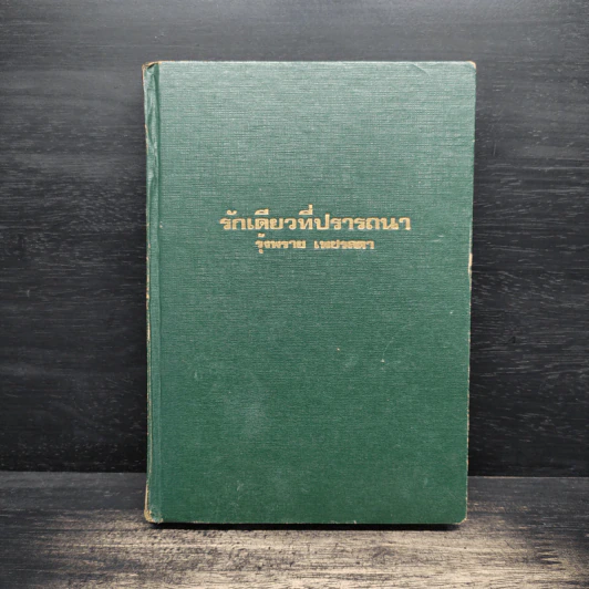 ร้กเดียวที่ปราถนา - รุ้งพลาย เพชรลดา รูปที่ 1