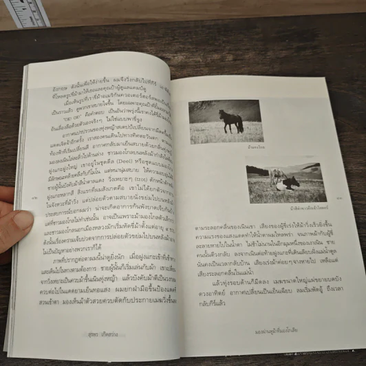 มองผ่านหูม้าที่มองโกเลีย - สุรพร เกิดสว่าง รูปที่ 9