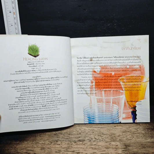Healing Juices น้ำผักผลไม้ต้านโรค รูปที่ 6