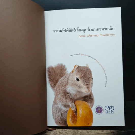 การสตัฟฟ์ สัตว์เลี้ยงลูกด้วยนมขนาดเล็ก รูปที่ 6
