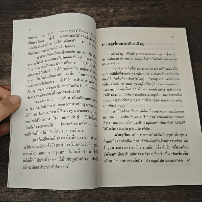 นั่งรถไฟไปลาซ่า - นิรันดร นาคสุริยันต์ รูปที่ 9
