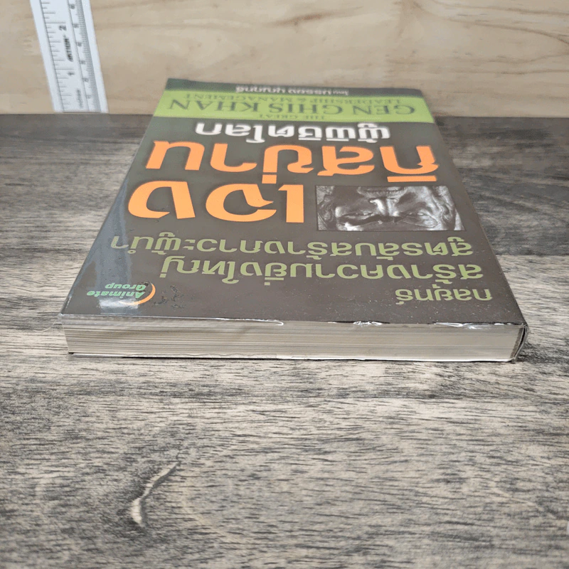 เจงกิสข่านผู้พิชิตโรค - บรรยง บุญฤทธิ์ รูปที่ 4