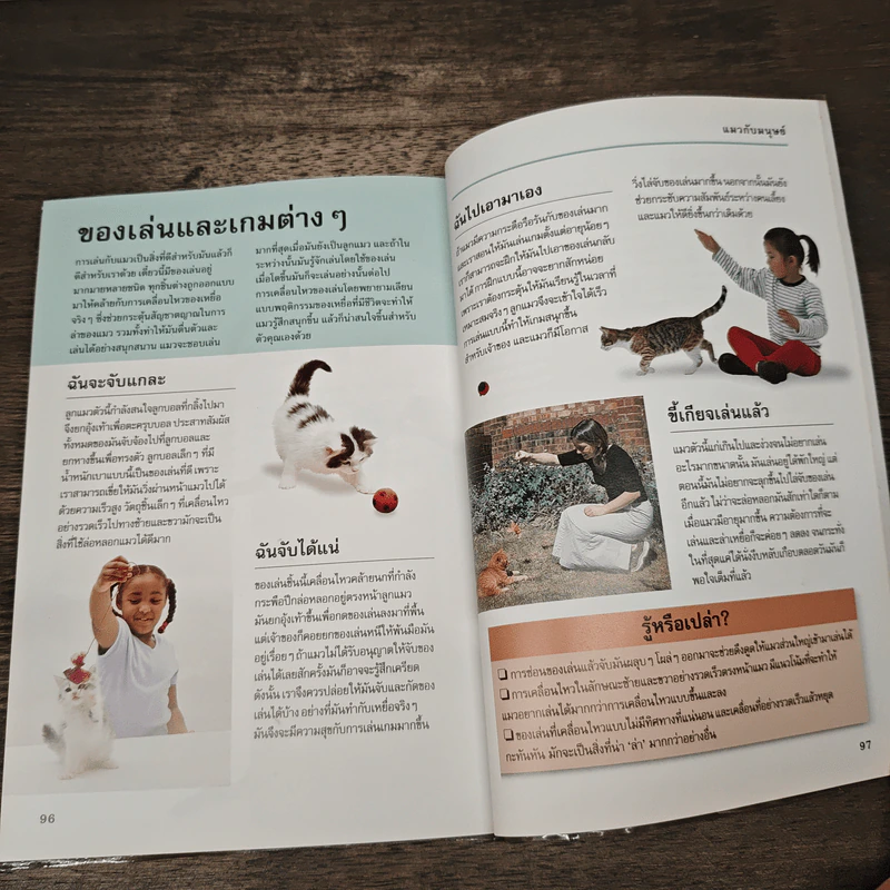 รู้ไหมแมวคิดอะไรอยู่? - Gwen Bailey รูปที่ 10