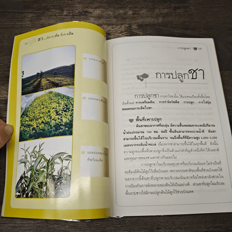 ชา Cha เลือกชาดื่ม ซื้อชาเป็น - Joseph S.G. รูปที่ 10