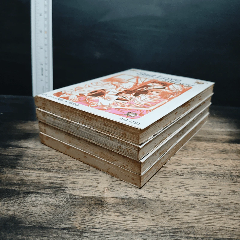 Sad Love Story ลิขิตฟ้ากั้นรัก เล่ม 1-4 รูปที่ 3