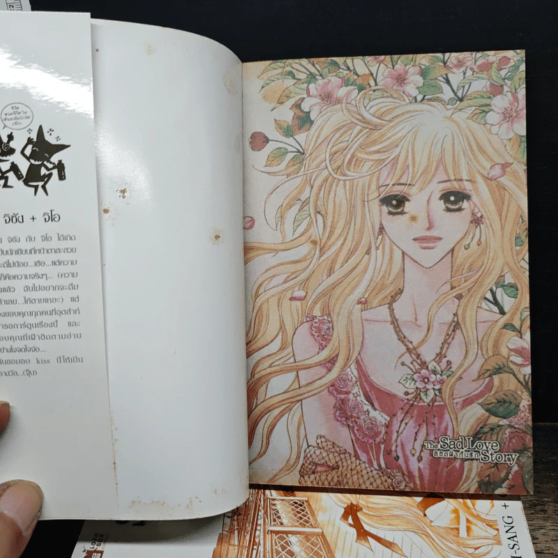Sad Love Story ลิขิตฟ้ากั้นรัก เล่ม 1-4 รูปที่ 5