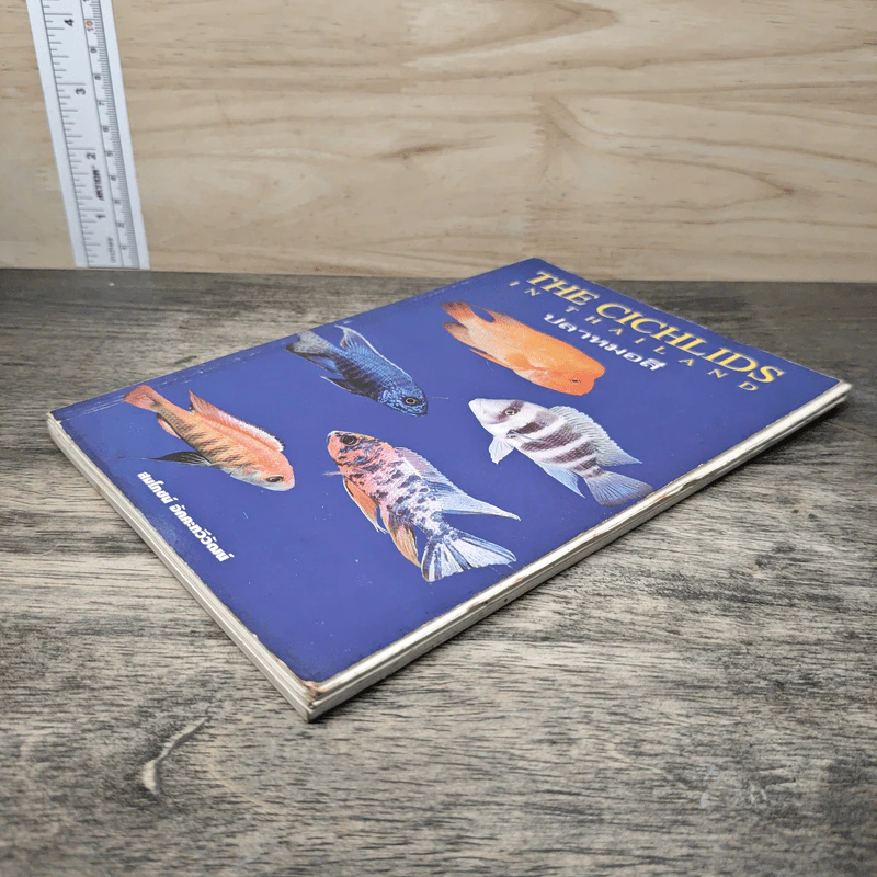 ปลาหมอสี The Cichlids in Thailand รูปที่ 3