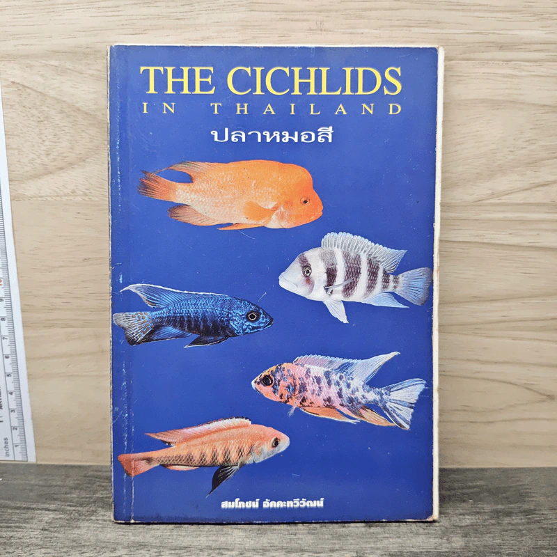 ปลาหมอสี The Cichlids in Thailand รูปที่ 1