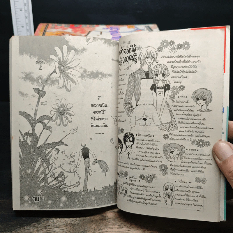 สาวน้อยบานฉ่ำ 16 เล่มจบ ( ขาดเล่ม 7 ) รูปที่ 10