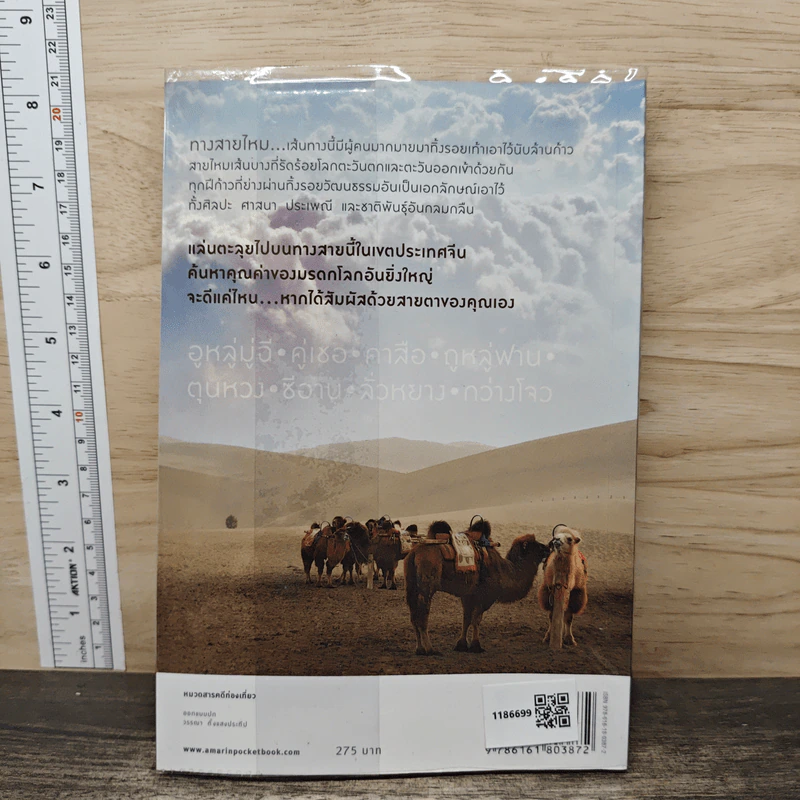 The Silk Road ตะลุยเส้นทางสายไหม - วีระศักดิ์ เทียนธนะวัฒน์ รูปที่ 5