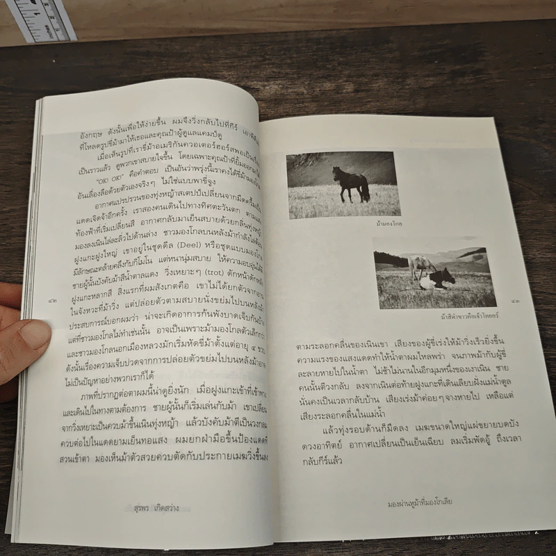 มองผ่านหูม้าที่มองโกเลีย - สุรพร เกิดสว่าง รูปที่ 9