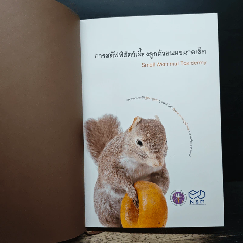 การสตัฟฟ์ สัตว์เลี้ยงลูกด้วยนมขนาดเล็ก รูปที่ 6