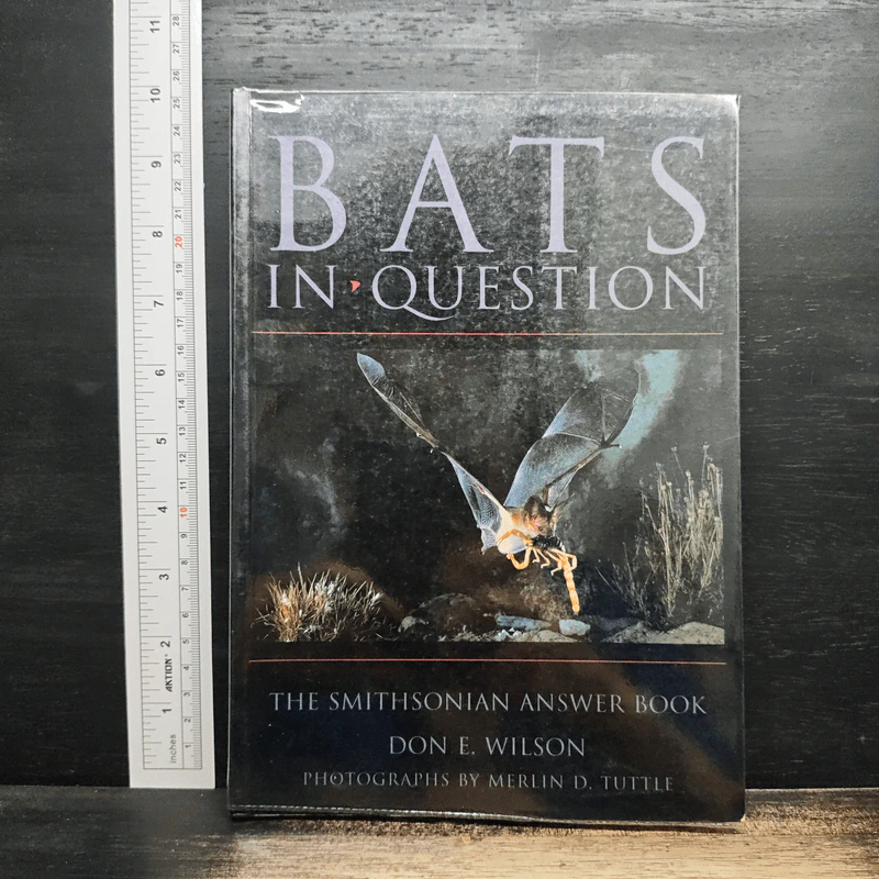 Bats in Question - Don E. Wilson รูปที่ 1