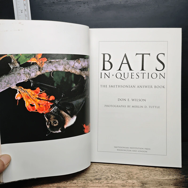 Bats in Question - Don E. Wilson รูปที่ 6