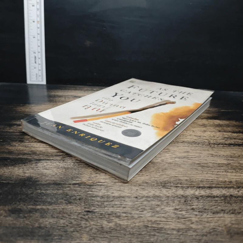 As The Future Catches You เมื่ออนาคตไล่ล่าคุณ (ปกอ่อน) - Juan Enriquez รูปที่ 4