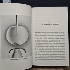 Homo Deus: A Brief History of Tomorrow - Yuval Noah Harari รูปที่ 8