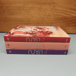 Boxset ซีรีส์รักคือไฟ 3 เล่มจบ - ณารา รูปที่ 6