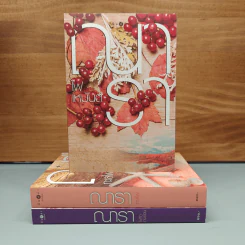 Boxset ซีรีส์รักคือไฟ 3 เล่มจบ - ณารา รูปที่ 5