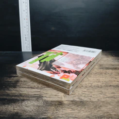 สัญญาสีกุหลาบ เล่ม 1-2 - Kaho MIYASAKA รูปที่ 4