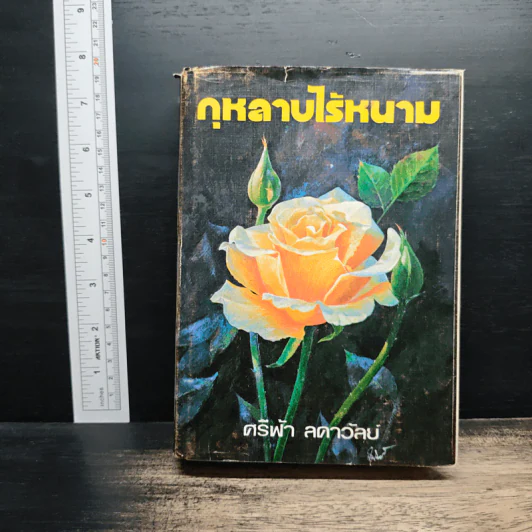 กุหลาบไร้หนาม - ศรีฟ้า ลดาวัลย์ รูปที่ 1