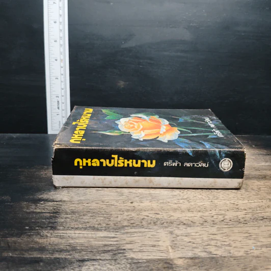 กุหลาบไร้หนาม - ศรีฟ้า ลดาวัลย์ รูปที่ 3