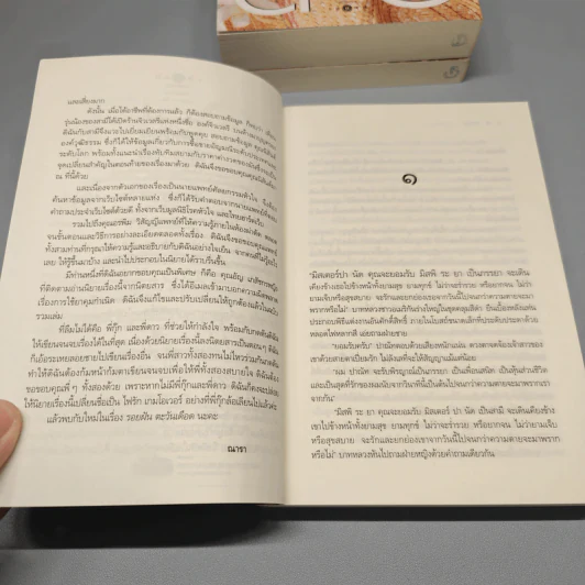 Boxset ซีรีส์รักคือไฟ 3 เล่มจบ - ณารา รูปที่ 13