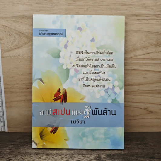 สามีเป็นเศรษฐีพันล้าน - เมวิษา รูปที่ 1