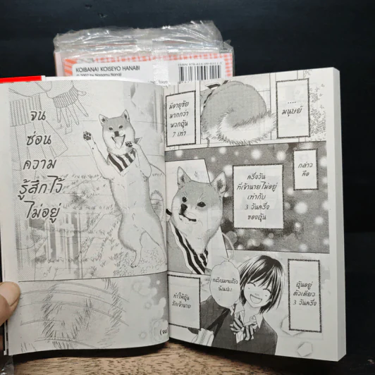ฮานาบิ สาวใสหัวใจว้าวุ่น เล่ม 1-5 รูปที่ 9