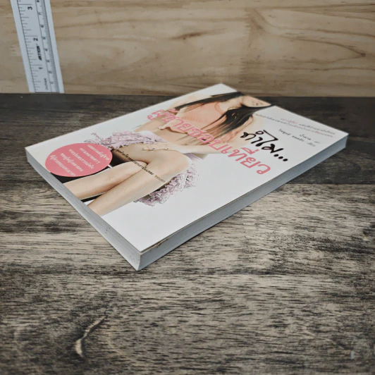 ทำไม...ผู้ชายชอบเที่ยว - น้ำตาล, ไพฑูรย์ ยอดรัก รูปที่ 3